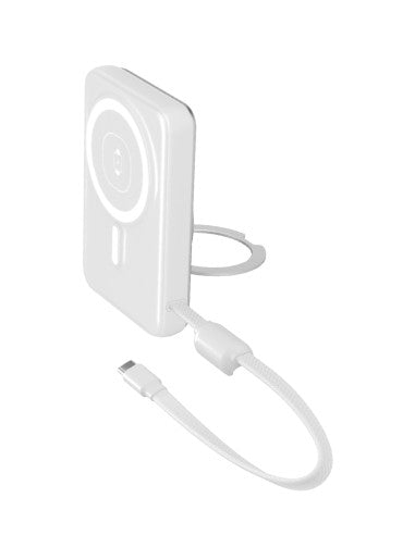ROVI - LX17 Power - Power Bank 10000 mAh con cavi integrati Type-C e lightning silver